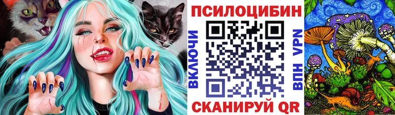 закладка  Архангельск  Галлюциногенные грибы прущие грибы 
